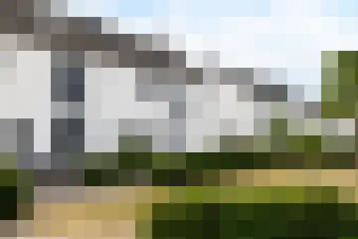 Zoete Kroon 12 Fijnaart thumbnail 5