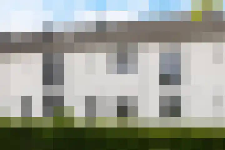 Zoete Kroon 12 Fijnaart thumbnail 6