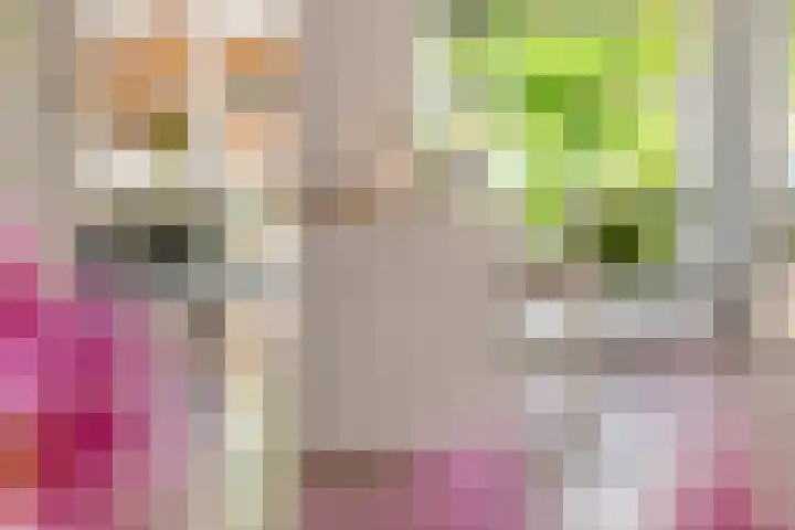 Zoete Kroon 13 Geldermalsen thumbnail 24