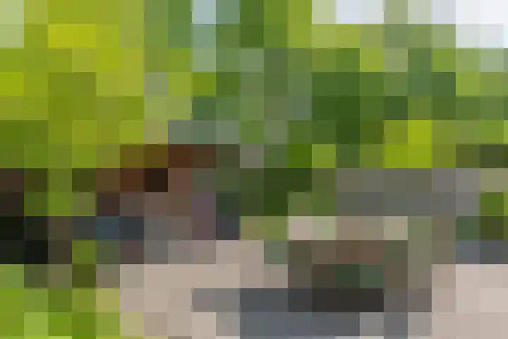 Zoete Kroon 13 Geldermalsen thumbnail 27