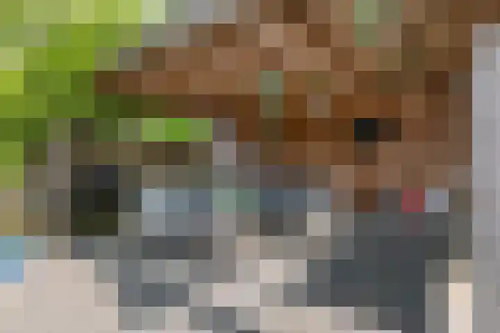 Zoete Kroon 13 Geldermalsen thumbnail 29