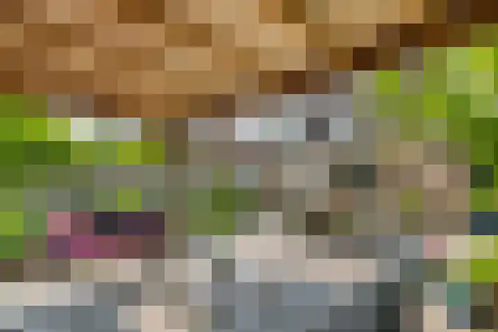 Zoete Kroon 13 Geldermalsen thumbnail 30