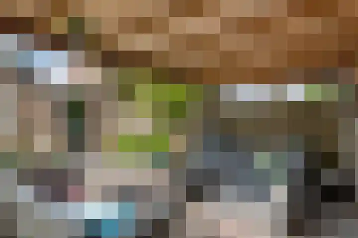 Zoete Kroon 13 Geldermalsen thumbnail 31