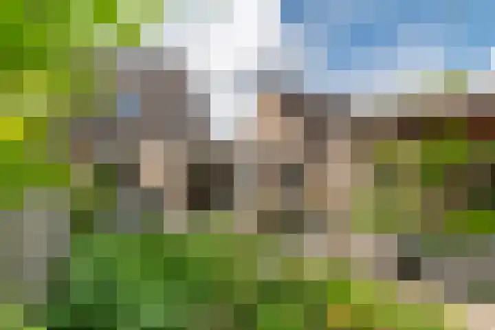 Zoete Kroon 13 Geldermalsen thumbnail 32