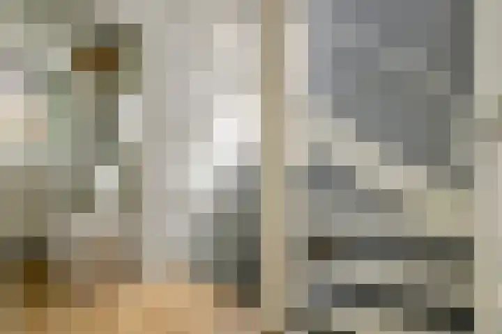 Zoete Kroon 13 Geldermalsen thumbnail 35