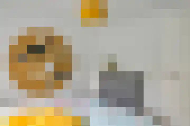 Zoete Kroon 13 Geldermalsen thumbnail 37