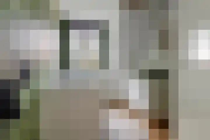 Zoete Kroon 13 Geldermalsen thumbnail 43