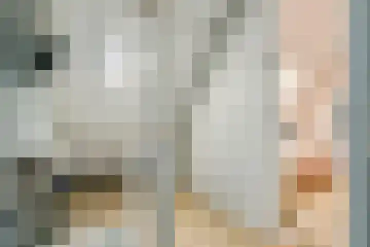 Zoete Kroon 13 Geldermalsen thumbnail 45