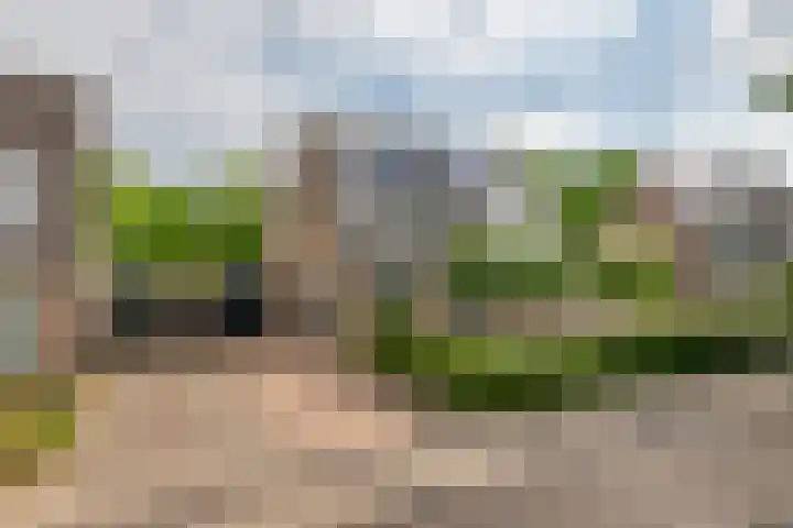Zoete Kroon 13 Geldermalsen thumbnail 50