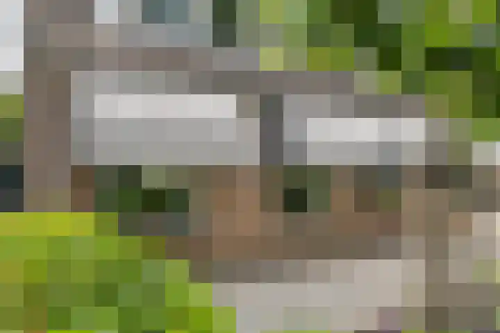 Zoete Kroon 13 Geldermalsen thumbnail 51