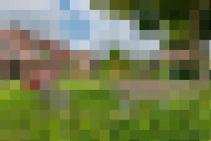 Zoete Kroon 13 Geldermalsen thumbnail 52