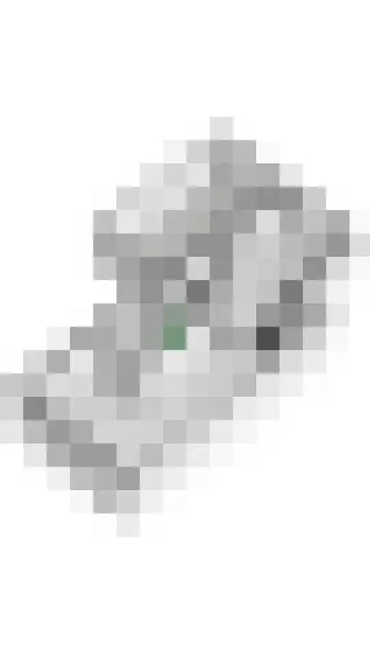 Zoete Kroon 13 Geldermalsen thumbnail 54