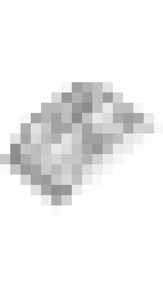 Zoete Kroon 13 Geldermalsen thumbnail 56