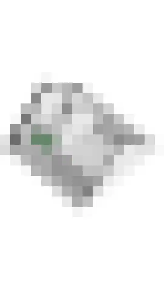 Zoete Kroon 13 Geldermalsen thumbnail 58