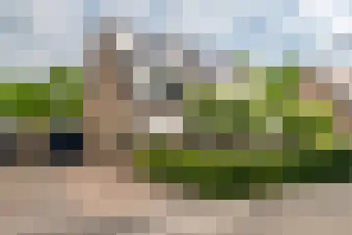 Zoete Kroon 13 Geldermalsen thumbnail 59