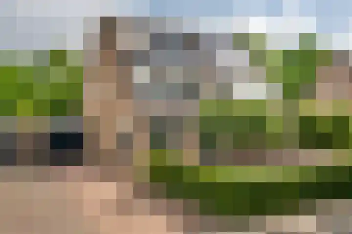 Zoete Kroon 13 Geldermalsen thumbnail 7