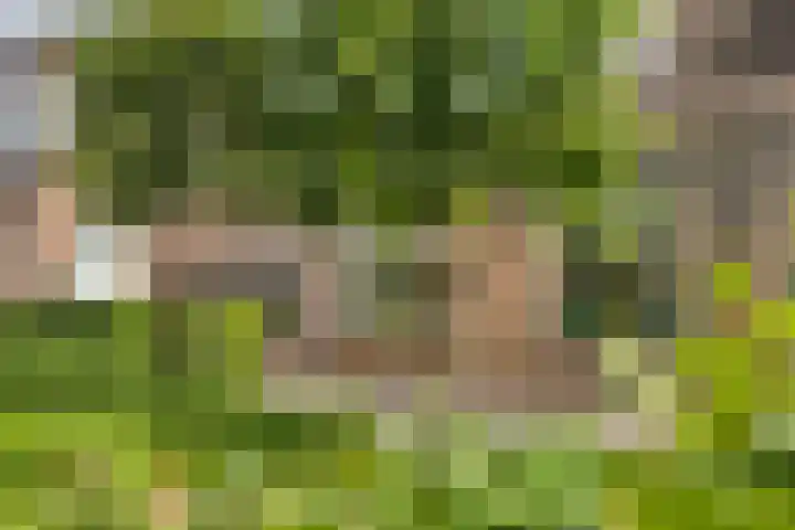 Zoete Kroon 13 Geldermalsen thumbnail 8