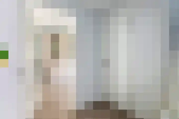 Zoete Kroon 13 Geldermalsen thumbnail 9