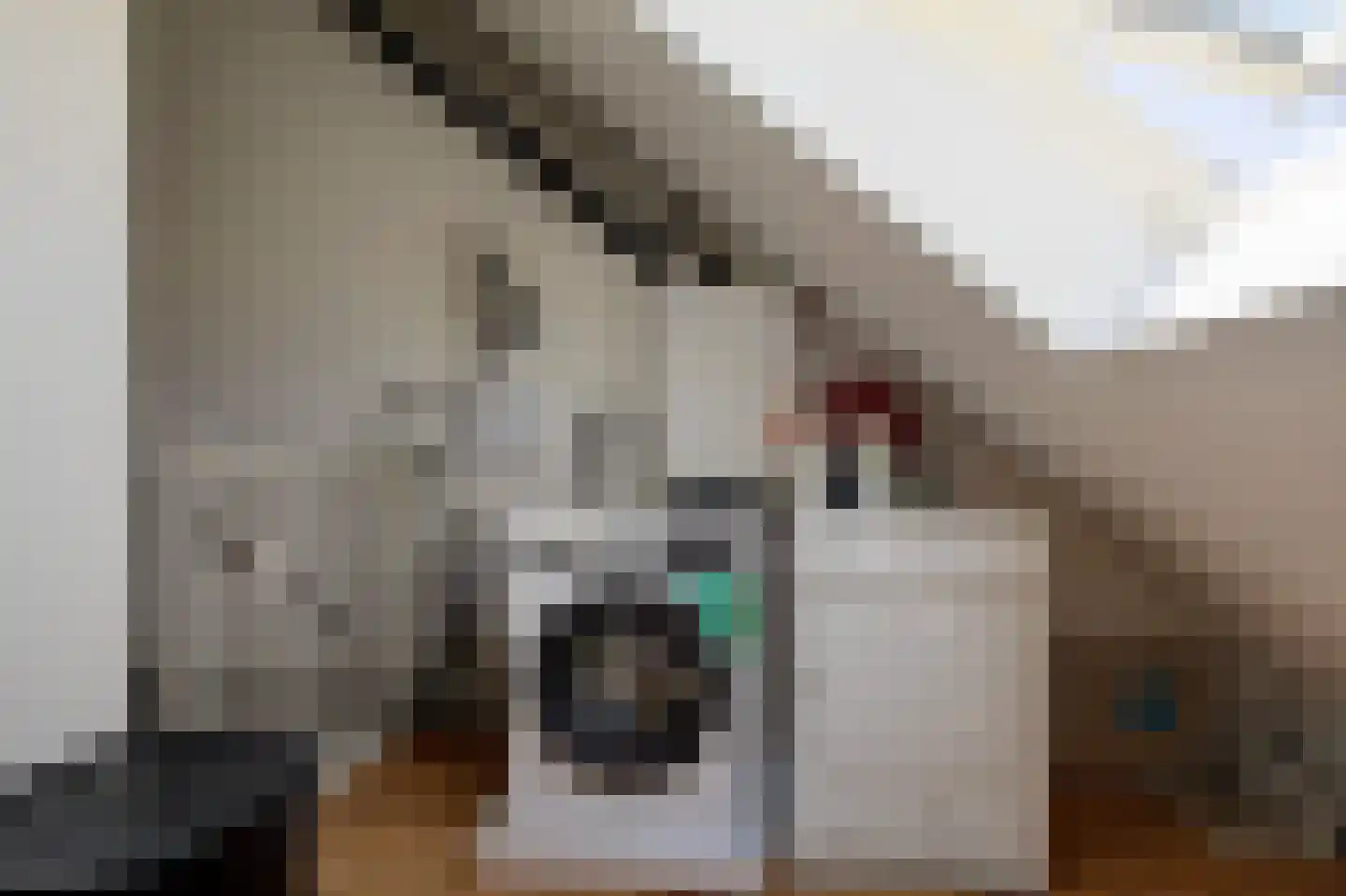 Zoete Kroon 14 Hoogezand thumbnail 32