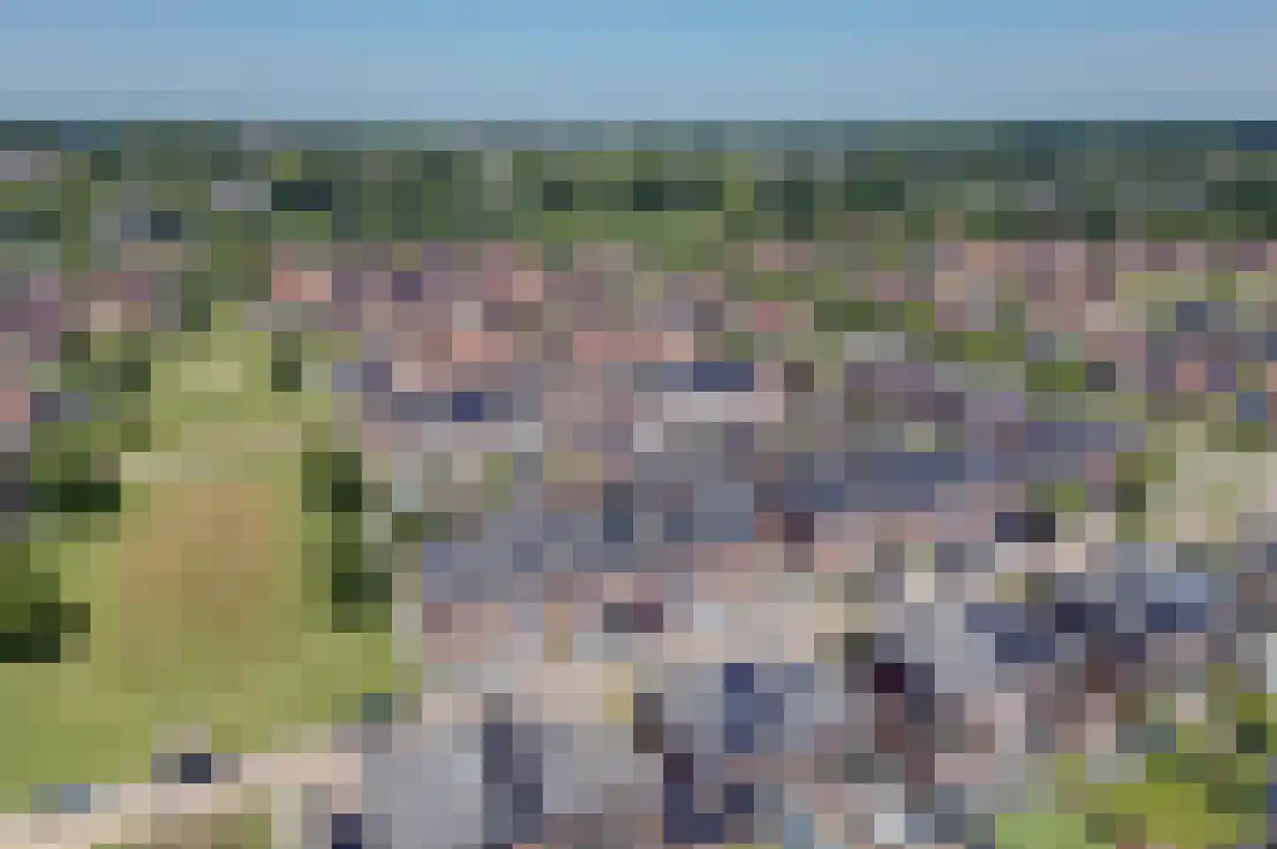Zoete Kroon 14 Hoogezand thumbnail 7