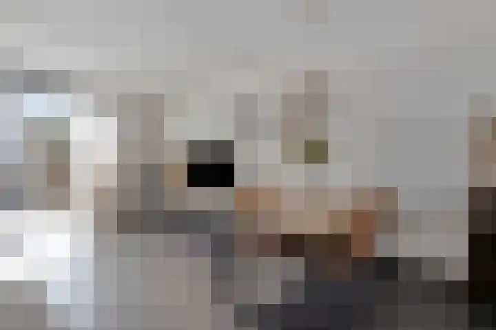 Zoete Kroon 24 Fijnaart thumbnail 13