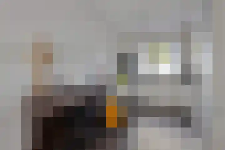 Zoete Kroon 24 Fijnaart thumbnail 14