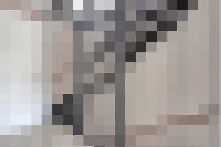 Zoete Kroon 24 Fijnaart thumbnail 18