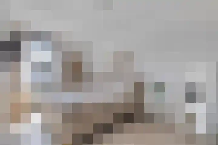 Zoete Kroon 24 Fijnaart thumbnail 19