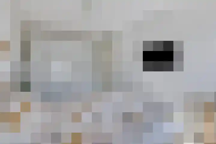 Zoete Kroon 24 Fijnaart thumbnail 20