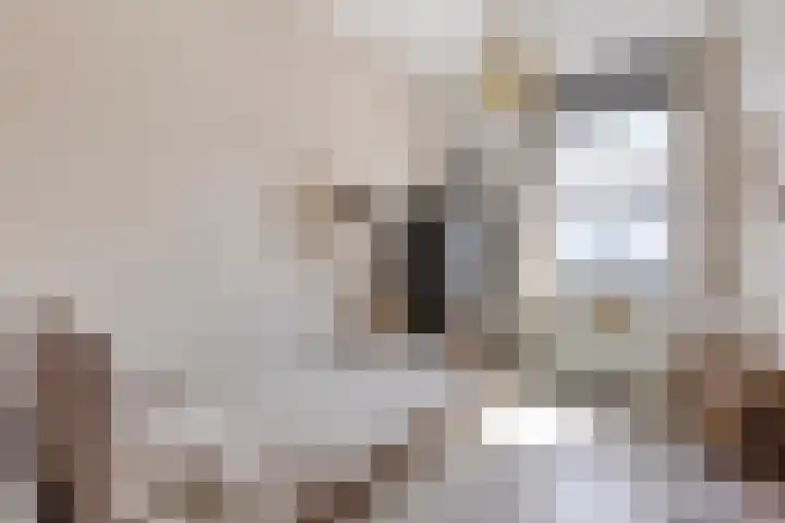 Zoete Kroon 24 Fijnaart thumbnail 25