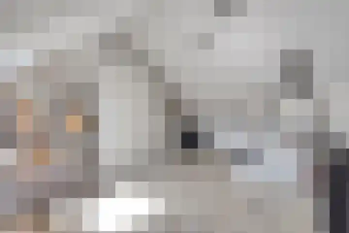 Zoete Kroon 24 Fijnaart thumbnail 26