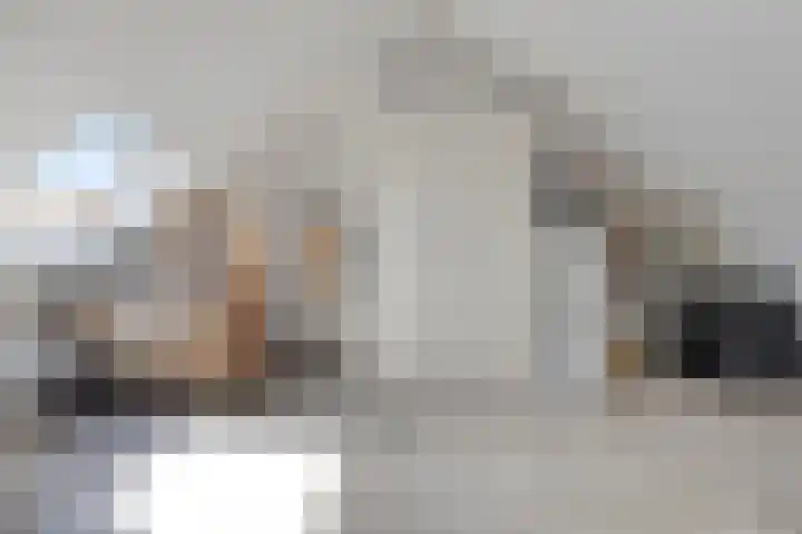 Zoete Kroon 24 Fijnaart thumbnail 28