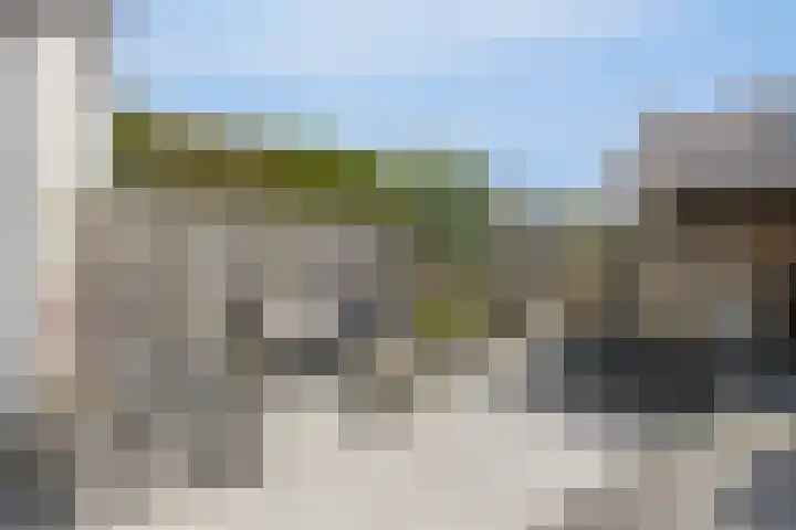 Zoete Kroon 24 Fijnaart thumbnail 29