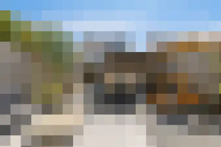 Zoete Kroon 24 Fijnaart foto 3