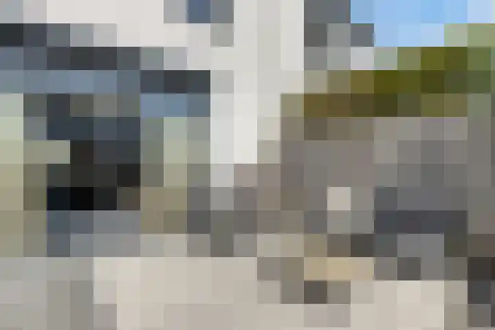 Zoete Kroon 24 Fijnaart thumbnail 30