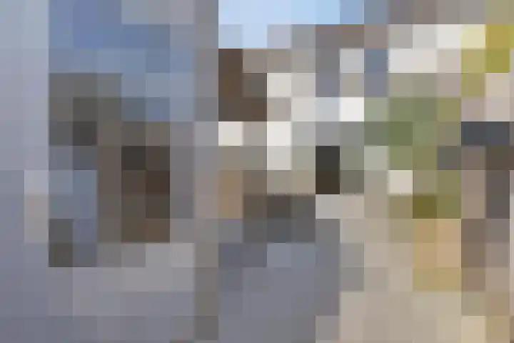 Zoete Kroon 24 Fijnaart thumbnail 31