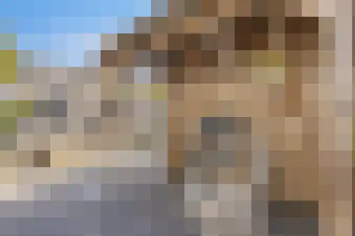Zoete Kroon 24 Fijnaart thumbnail 33
