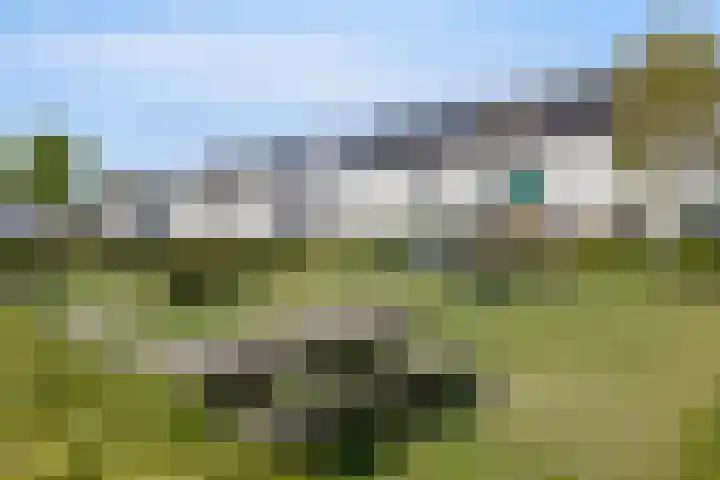 Zoete Kroon 24 Fijnaart thumbnail 34