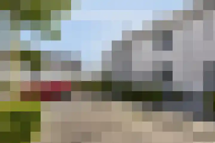 Zoete Kroon 24 Fijnaart thumbnail 5