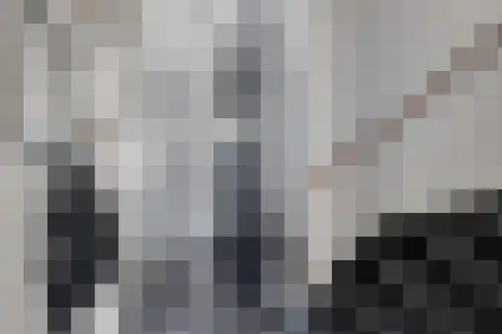 Zoete Kroon 24 Fijnaart thumbnail 6