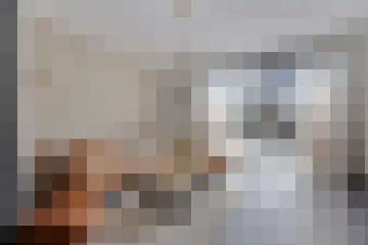 Zoete Kroon 24 Fijnaart thumbnail 8