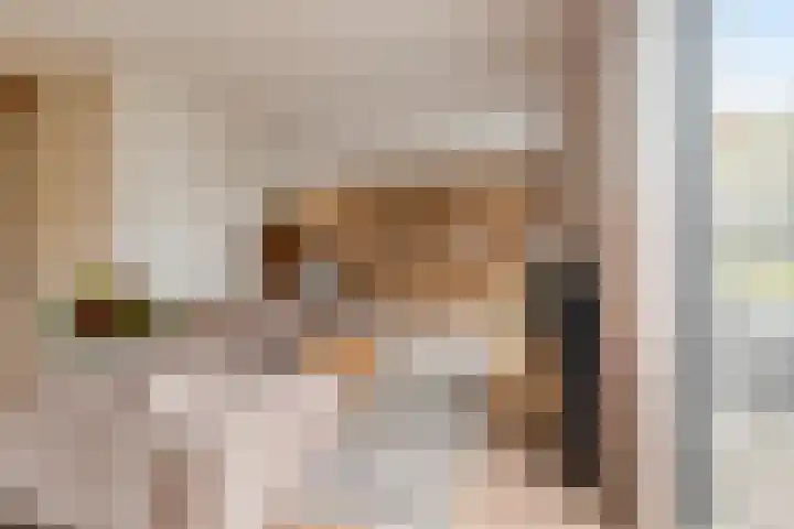 Zoete Kroon 26 Fijnaart thumbnail 10