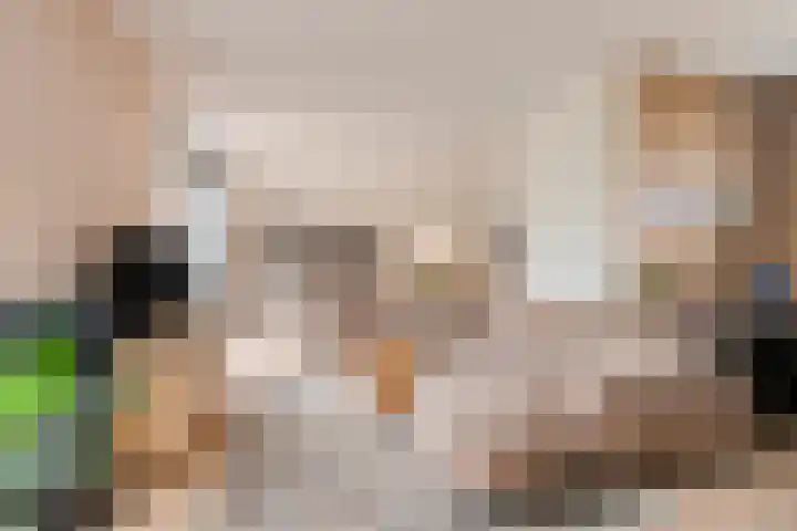 Zoete Kroon 26 Fijnaart thumbnail 11