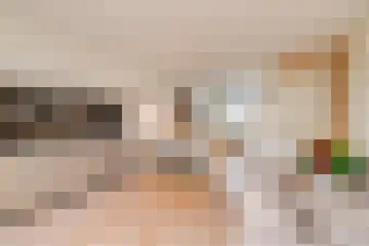 Zoete Kroon 26 Fijnaart thumbnail 13