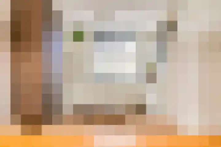 Zoete Kroon 26 Fijnaart thumbnail 14