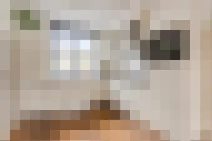 Zoete Kroon 26 Fijnaart thumbnail 15
