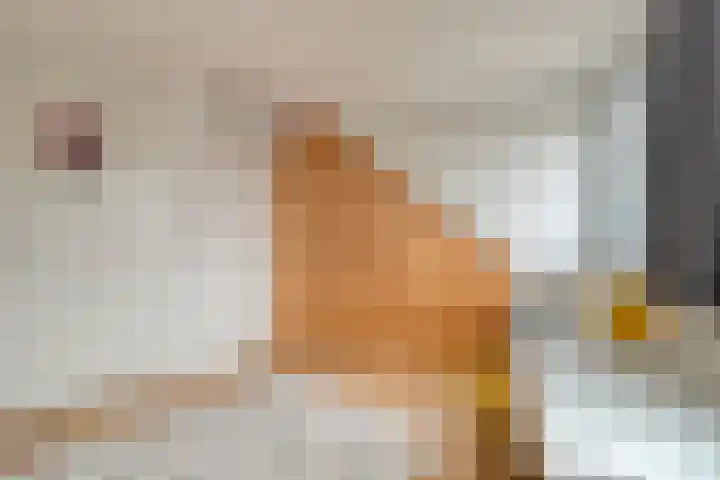 Zoete Kroon 26 Fijnaart thumbnail 28