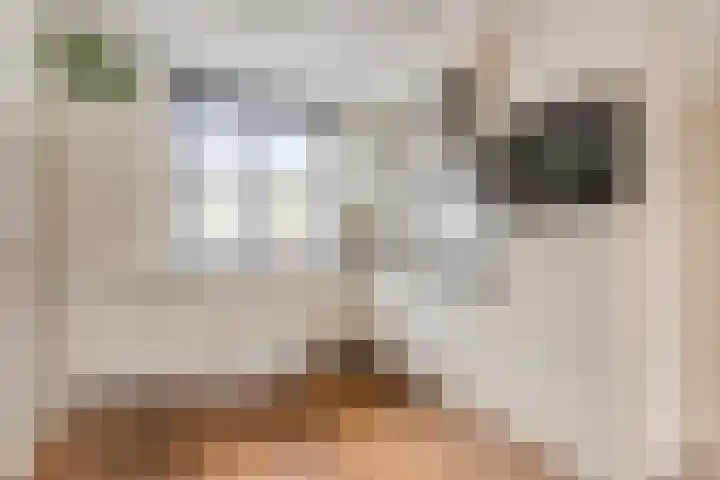 Zoete Kroon 26 Fijnaart foto 3