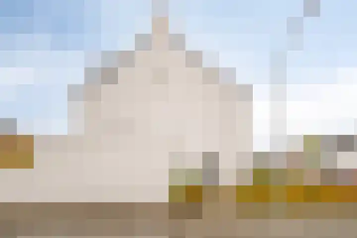 Zoete Kroon 26 Fijnaart thumbnail 33