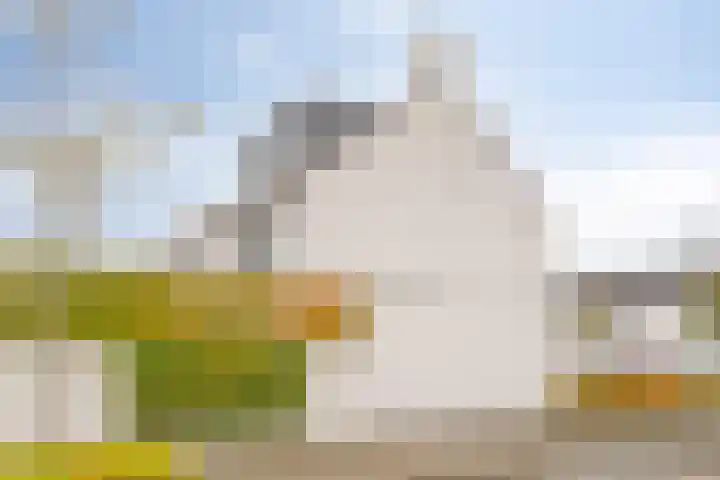 Zoete Kroon 26 Fijnaart thumbnail 34